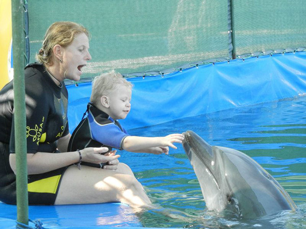 Swim with Dolphins in Marmaris